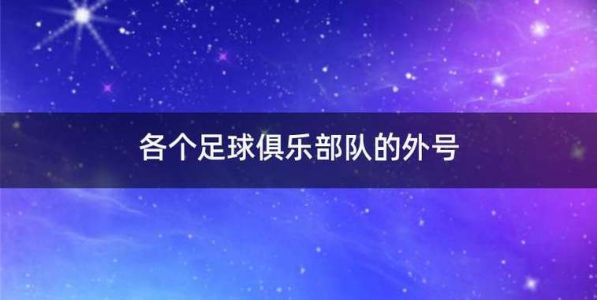 历年德国甲级联赛冠军和射手王