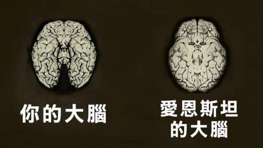 现代自甘堕落的天才,请举例