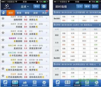 足球即时比分(实时更新全球各大联赛比分数据)