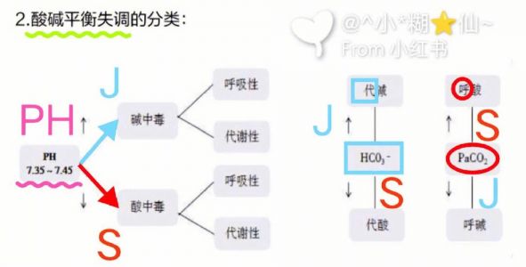 水中总碱度表达式,碳酸根的系数为什么是2