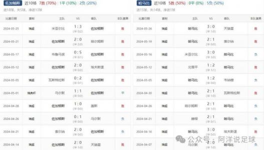 佐加顿斯vs哈马比比赛结果