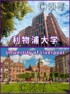 英国利物浦大学和埃塞克斯大学哪个比较好