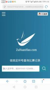 怎样通过足环号查询信鸽比赛记录?