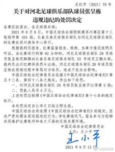 中国足协开出罚单,张呈栋、王鹏被停赛,背后的原因是什么?