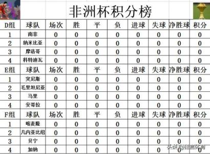 谁有2010年非洲杯小组赛的积分榜或战报