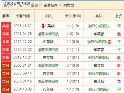 布赖顿对谢菲联比分预测