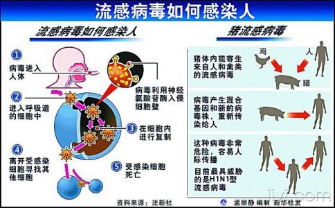 兄弟姐妹们,帮我分析一下我这是怎么回事啊,是不是甲型H1N1流感啊...