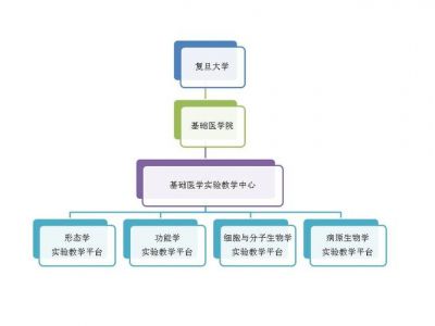 布莱顿霍夫有什么大学