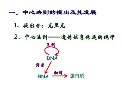 巴拉克定律巴拉克定律-简介