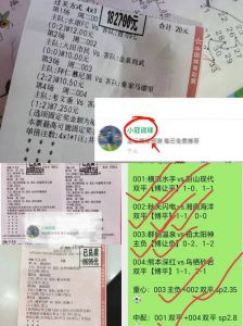 维罗纳萨勒尼塔纳比分预测