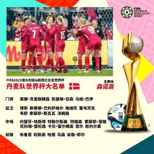 fifa年度最佳女足主帅候选名单公布