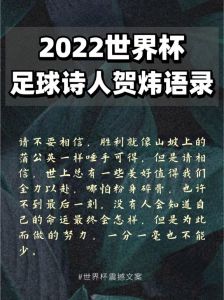 足球诗人贺炜经典语录