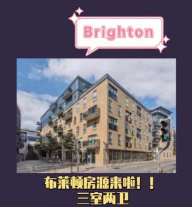 英国南克罗伊登布莱顿路291号怎么这么多公司