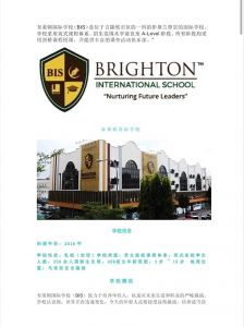 萨塞克斯大学在哪个城市